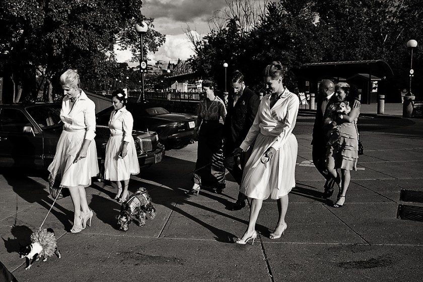 Lux Micro wedding Ottawa wedding photographers