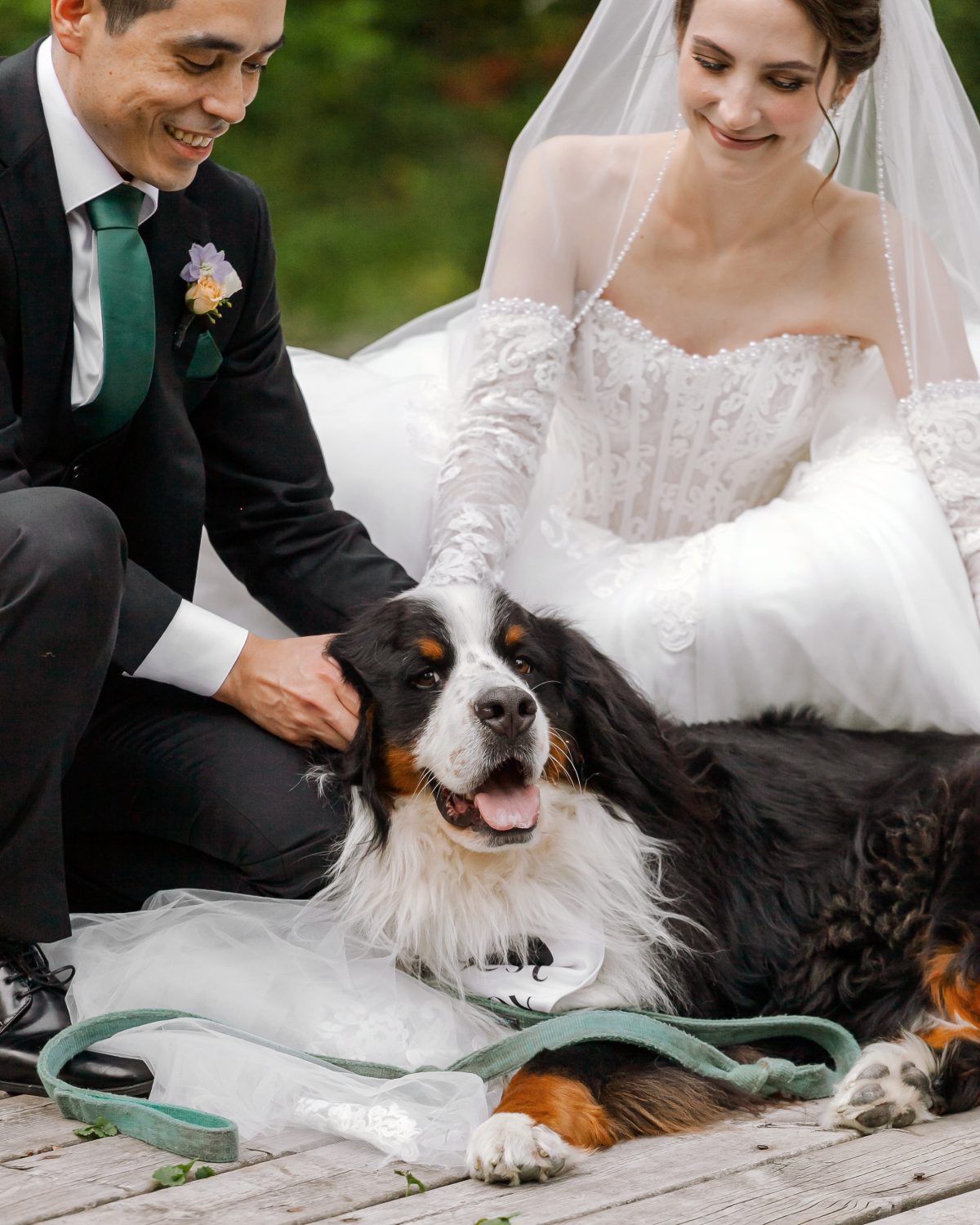 Bride and groom in wedding attire smiling and petting a large Bernese Mountain Dog on their wedding day, capturing a joyful and candid moment