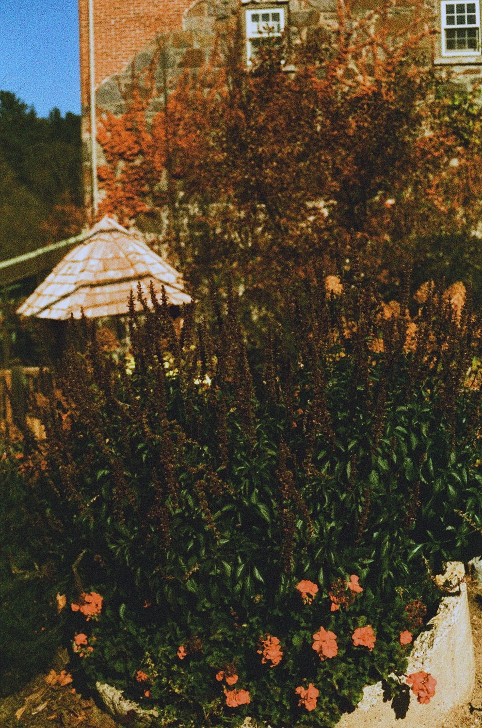 Film photo of venue in golden shun