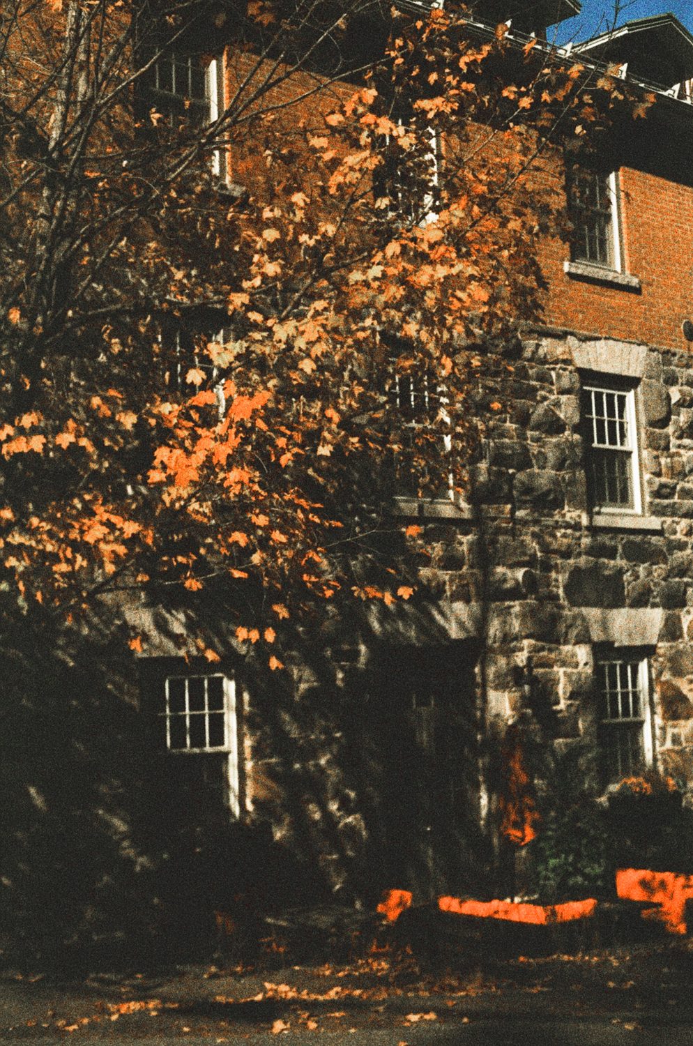 Film photo of venue in golden shun