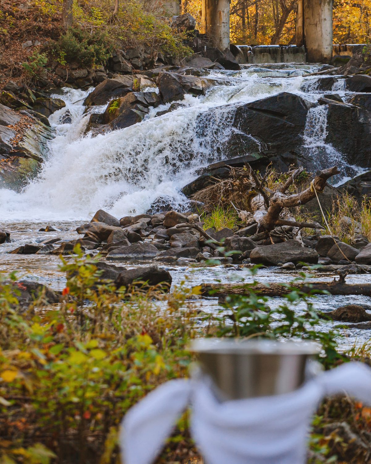 MacLaren Fallas and Forest setting for intimate outdoor wedding ceremony
