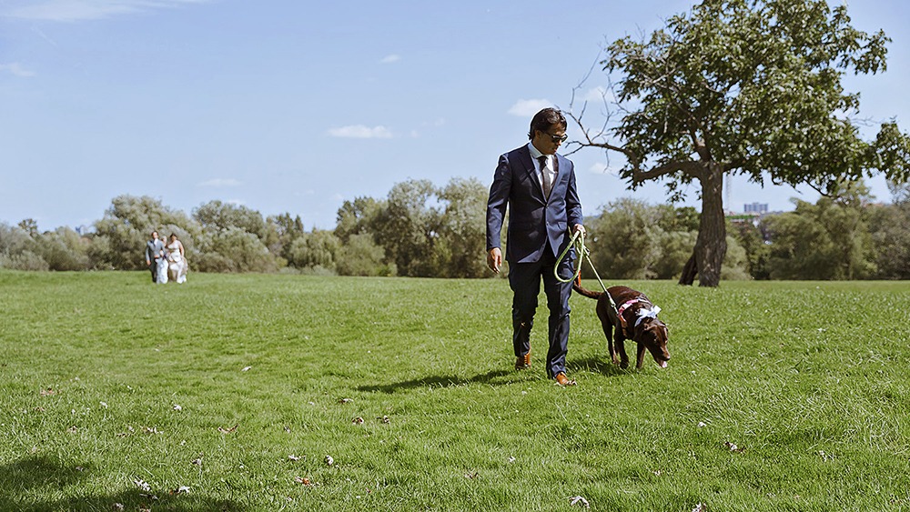 A Lbarador dog is acting as a ringbearer during an ottawa intimate wedding at the arboretum.